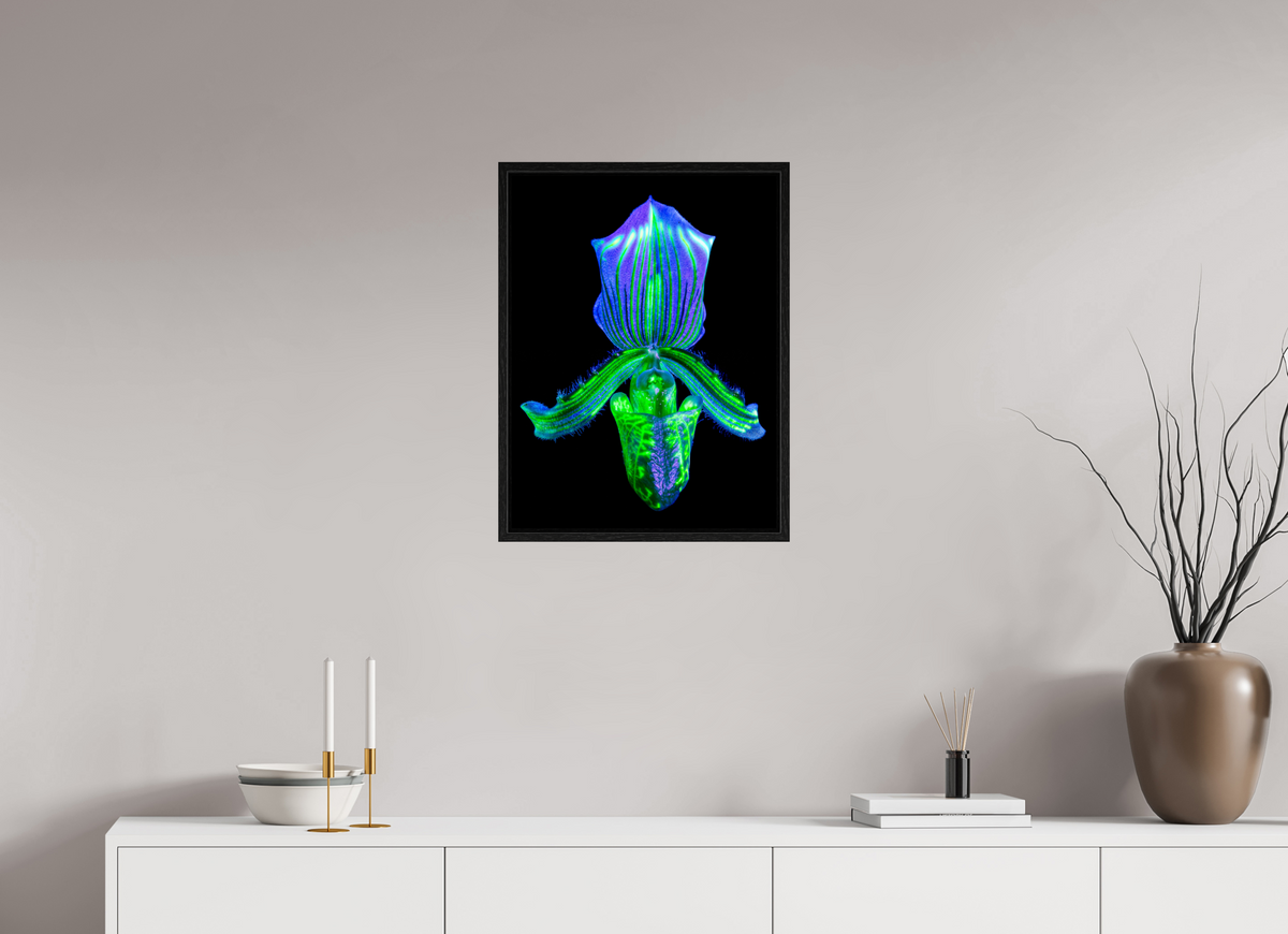 45 x 60 cm, Caisse américaine Noire L’Éclat Secret du Désir