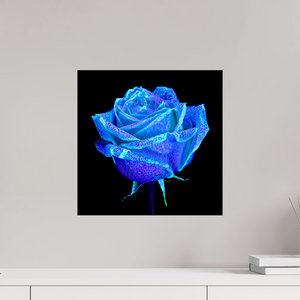 40 x 40 cm, Tirage simple sur papier photo Fuji Crystal Pearl La Rose qui Rêvait le Ciel