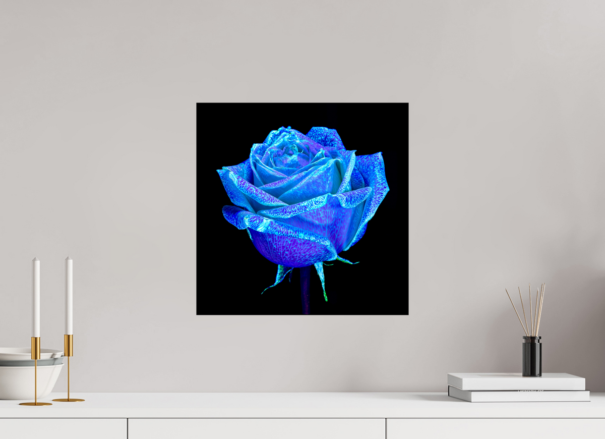 40 x 40 cm, Tirage simple sur papier photo Fuji Crystal Pearl La Rose qui Rêvait le Ciel