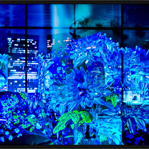Main image Le jardin secret des gratte-ciels