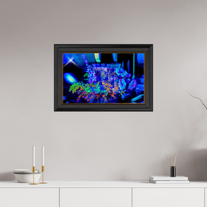 64 x 40 cm, 11 Cadre Noir-Or Le bouquet où nos rêves s’illuminent