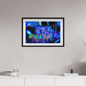 64 x 40 cm, 10 Cadre Noir Flottant Le bouquet où nos rêves s’illuminent