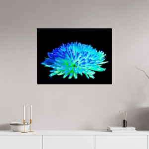 80 x 60 cm, Tirage photo contrecollé sur Dibond Éclat d’un Monde Inconnu