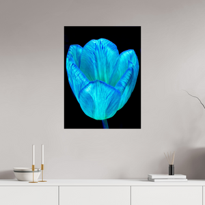 60 x 80 cm, Tirage photo sous Verre acrylique Calice de lumière