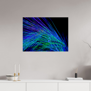 80 x 60 cm, Tirage photo sous Verre acrylique Danse des Épis Électriques