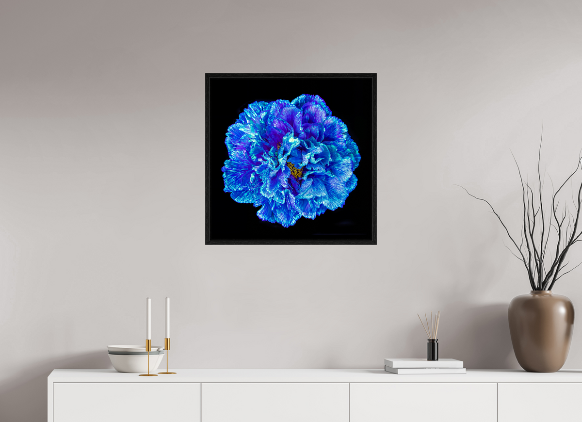 60 x 60 cm, Caisse américaine Noire Le Cœur Bleu qui S’ouvre à la Nuit