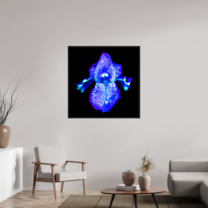 100 x 100 cm, Caisse américaine Noire Iris des Profondeurs Lumineuses