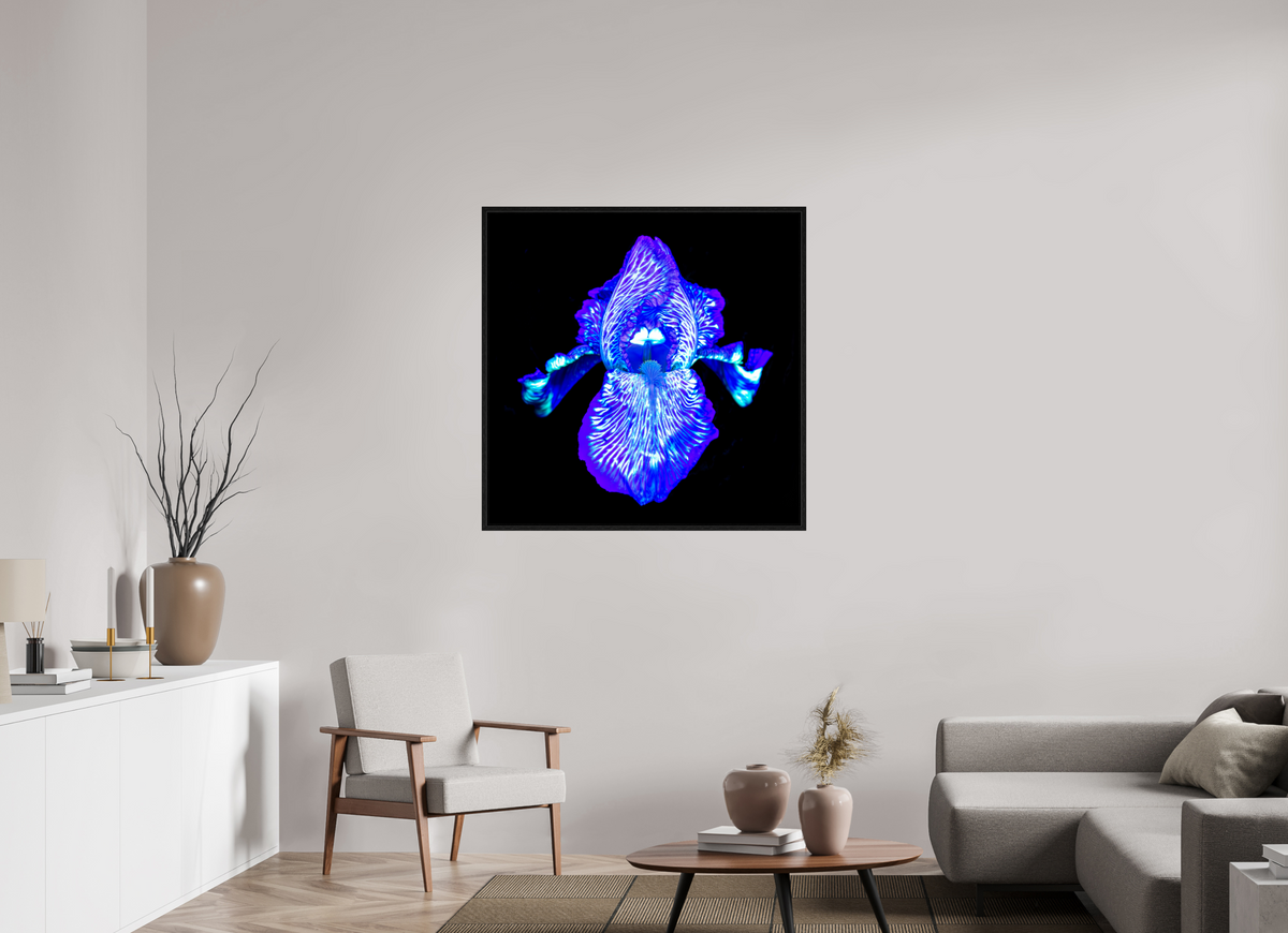 100 x 100 cm, Caisse américaine Noire Iris des Profondeurs Lumineuses