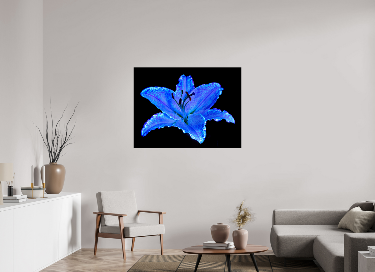 120 x 90 cm, Tirage simple sur papier photo Fuji Crystal Pearl Le Lys Astral