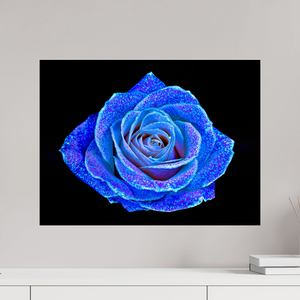 60 x 45 cm, Tirage photo sous Verre acrylique La Rose aux mille constellations