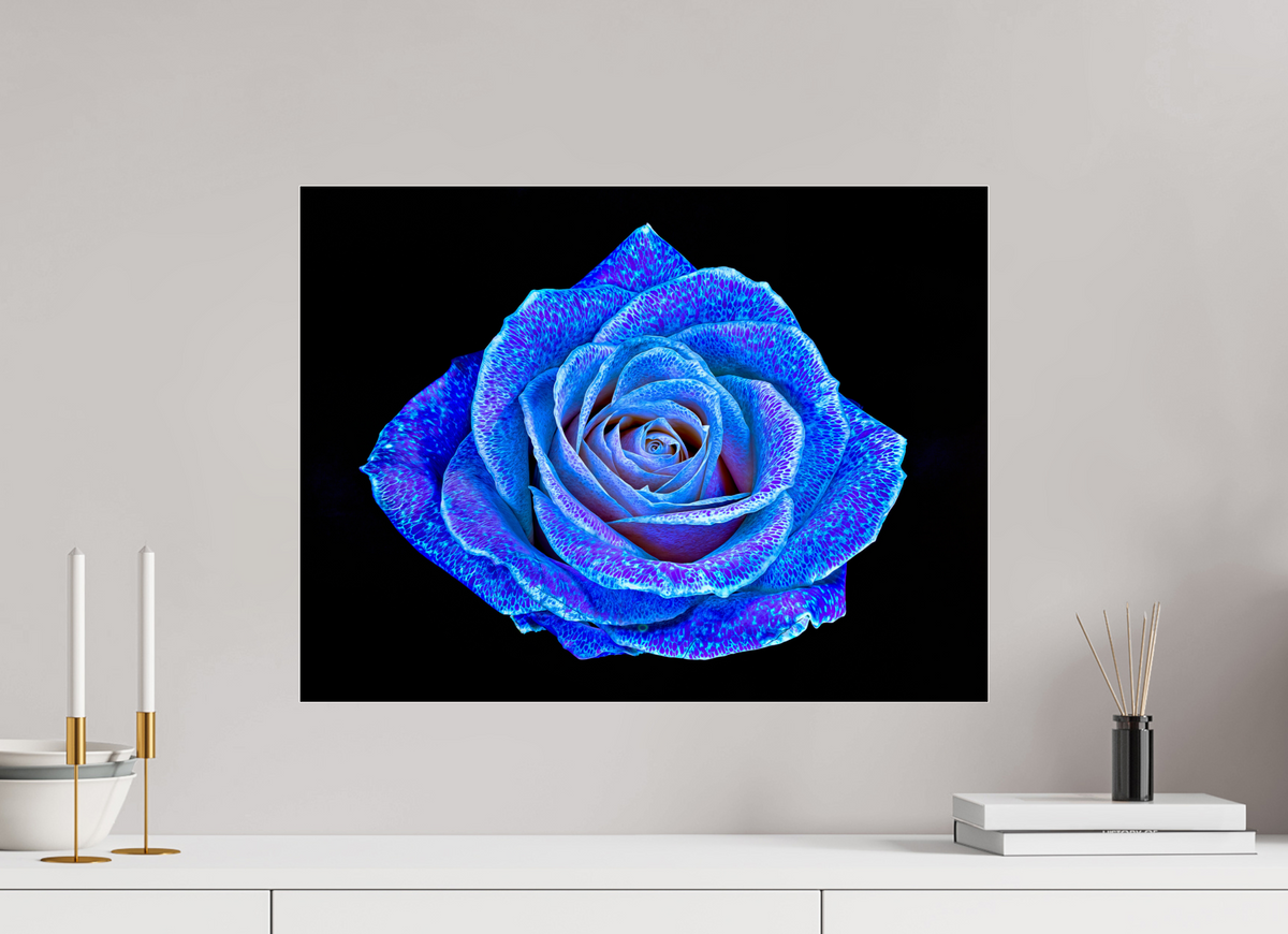 60 x 45 cm, Tirage photo sous Verre acrylique La Rose aux mille constellations