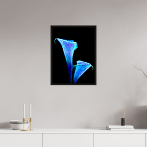 45 x 60 cm, Caisse américaine Noire L’Étreinte des Lys Stellaires