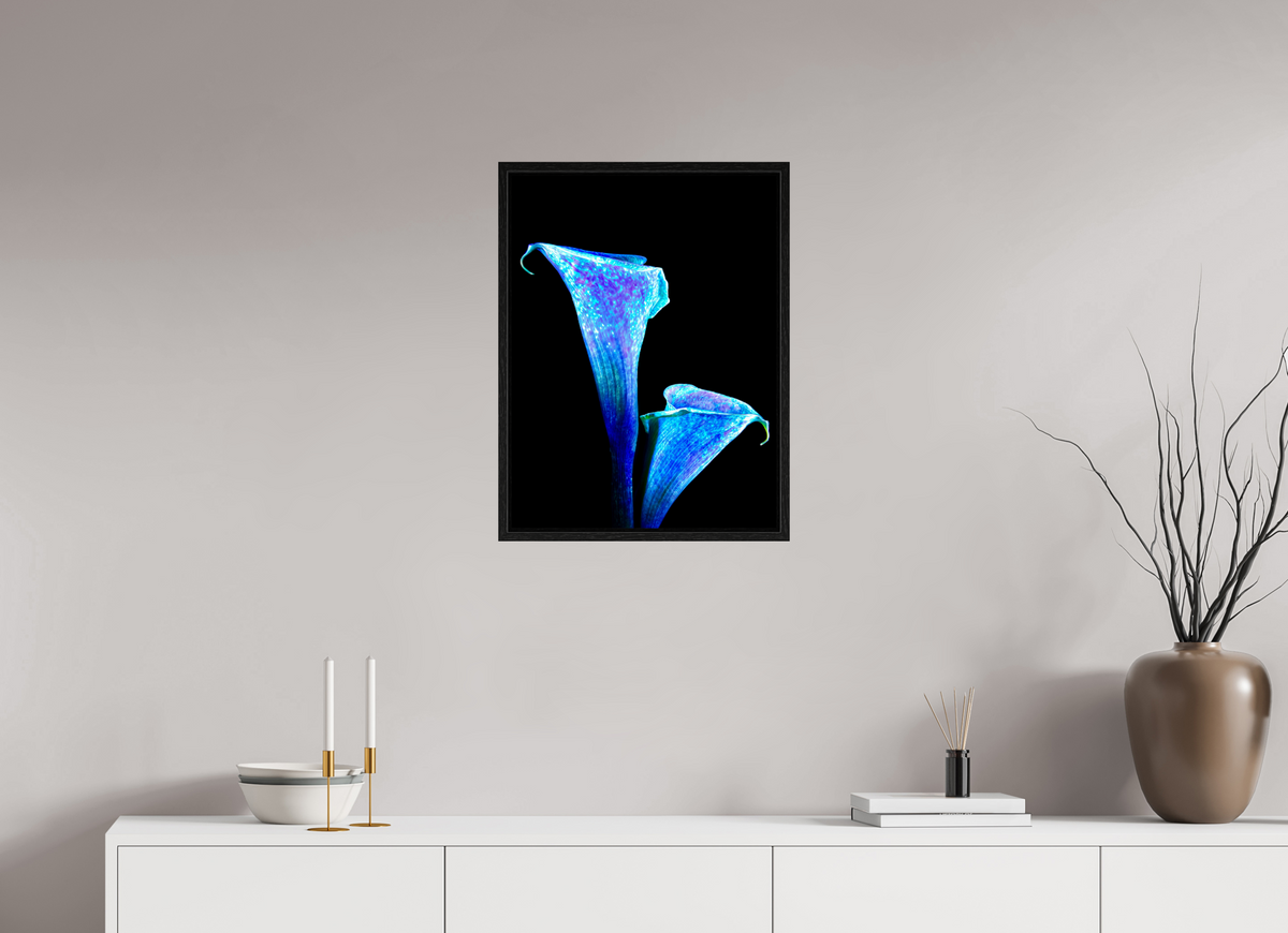 45 x 60 cm, Caisse américaine Noire L’Étreinte des Lys Stellaires