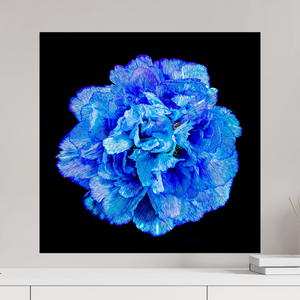 60 x 60 cm, Tirage photo contrecollé sur Dibond Matrice de Lumière