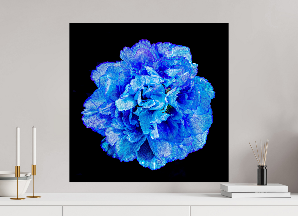 60 x 60 cm, Tirage photo contrecollé sur Dibond Matrice de Lumière