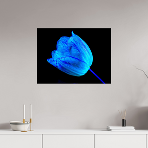 80 x 60 cm, Tirage photo sous Verre acrylique À l’abri de ta lumière