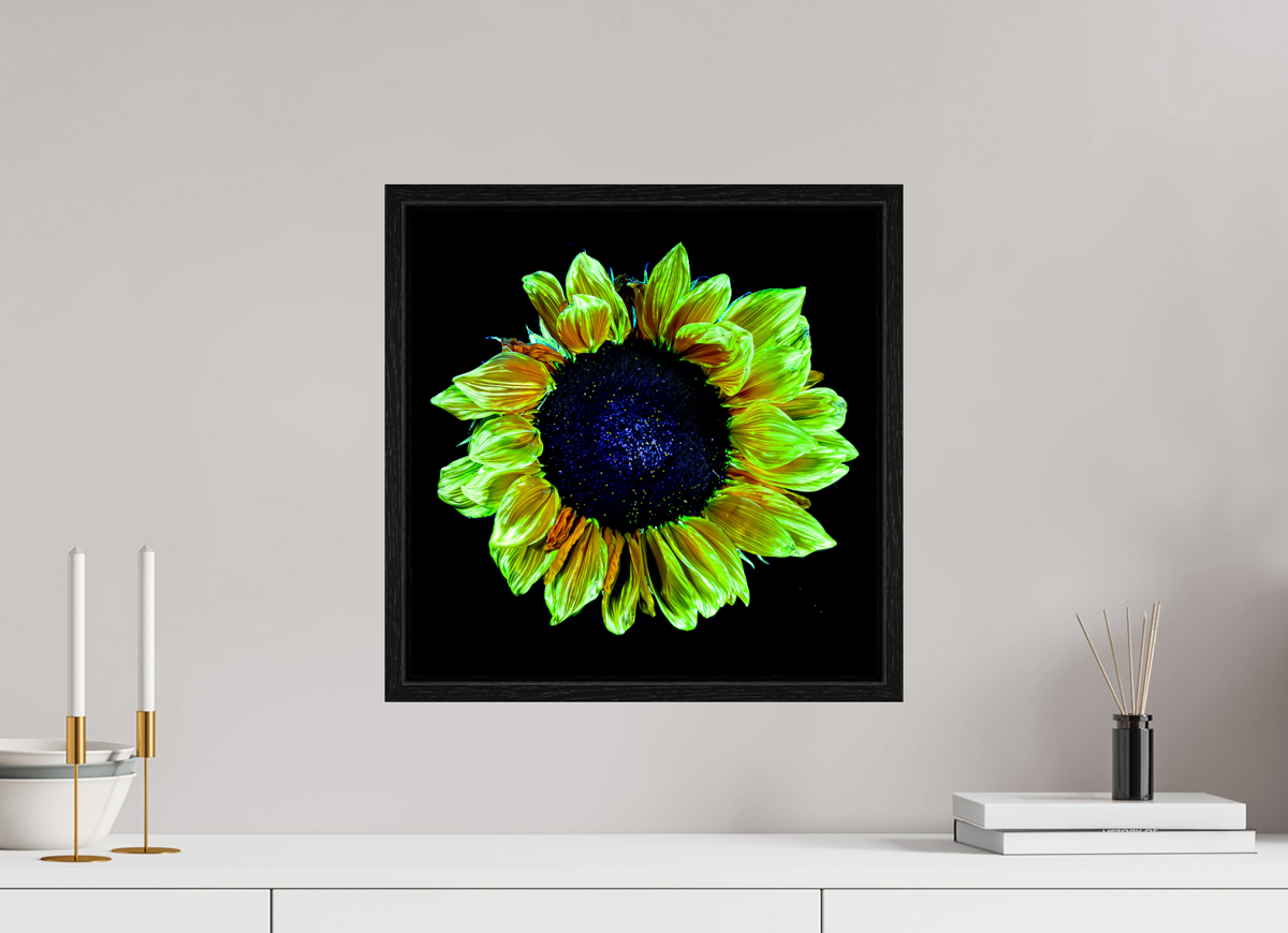 40 x 40 cm, Caisse américaine Noire Couronne de lumière