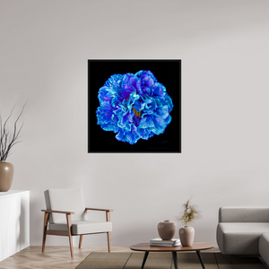 100 x 100 cm, Caisse américaine Noire Le Cœur Bleu qui S’ouvre à la Nuit