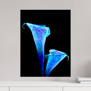 45 x 60 cm, Tirage photo contrecollé sur Dibond L’Étreinte des Lys Stellaires