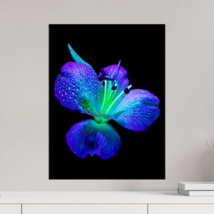 45 x 60 cm, Tirage simple sur papier photo Fuji Crystal Pearl L’éclat des ailes dans la rosée
