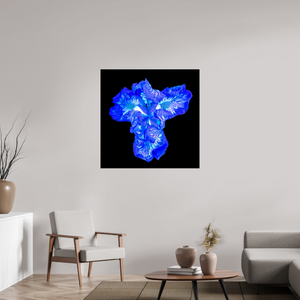 100 x 100 cm, Tirage simple sur papier photo Fuji Crystal Pearl Iris du Cœur Lumineux