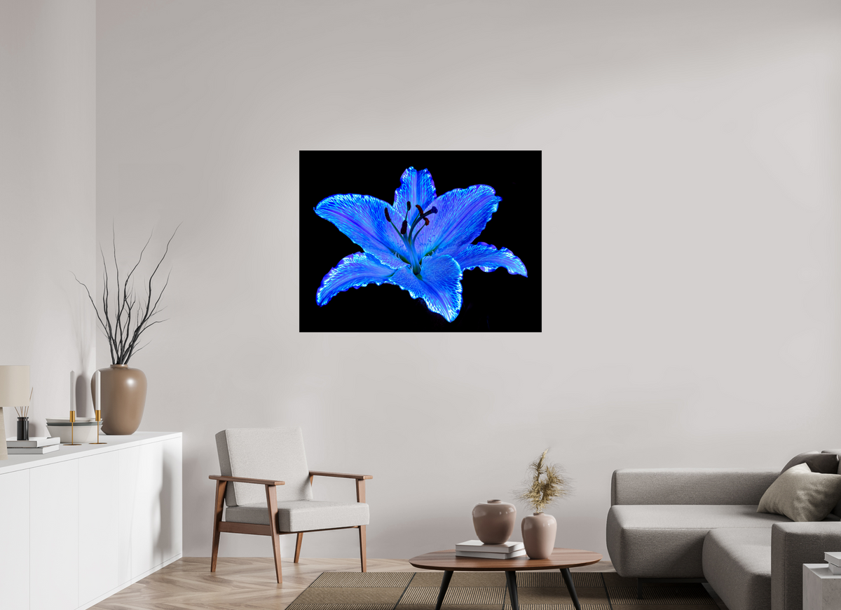 120 x 90 cm, Tirage photo contrecollé sur Dibond Le Lys Astral