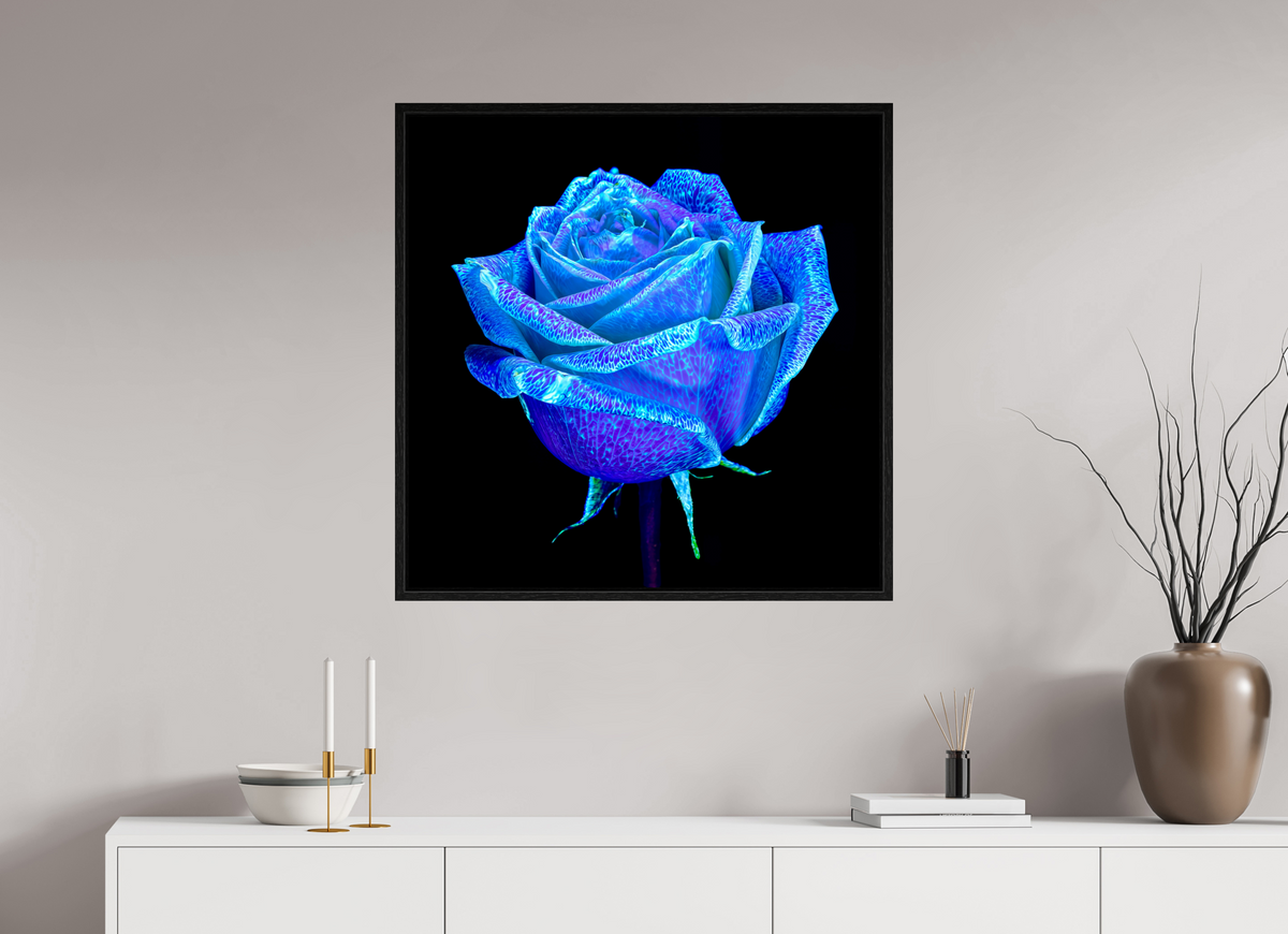 80 x 80 cm, Caisse américaine Noire La Rose qui Rêvait le Ciel
