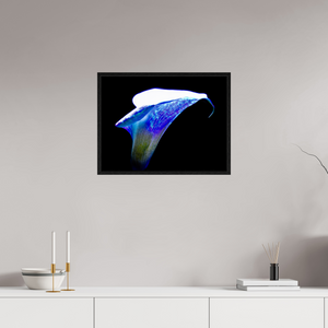 60 x 45 cm, Caisse américaine Noire L’Aile de Lumière La Voix des Éthers