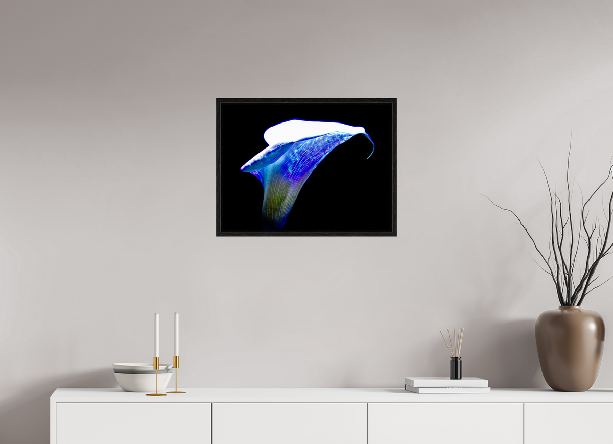 60 x 45 cm, Caisse américaine Noire L’Aile de Lumière La Voix des Éthers