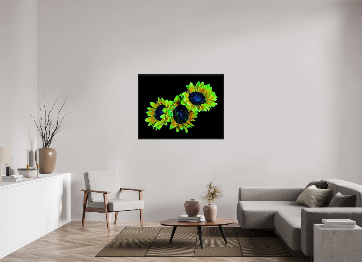 120 x 90 cm, Caisse américaine Noire Les gardiens du jour endormi