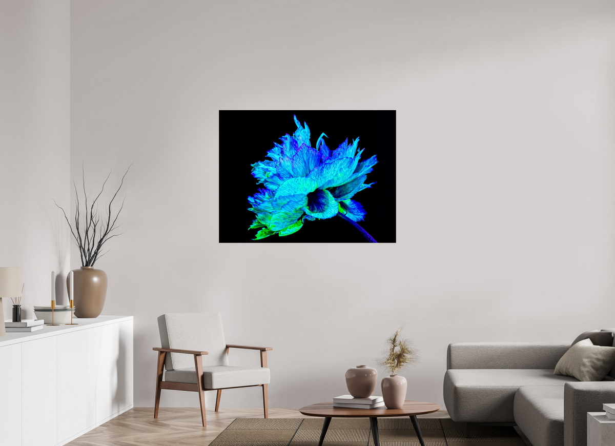 120 x 90 cm, Tirage photo sous Verre acrylique L’Éclat Bleu de la Pivoine Astrale