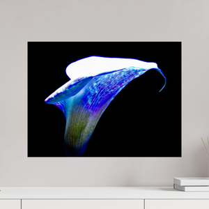 60 x 45 cm, Tirage photo contrecollé sur Dibond L’Aile de Lumière La Voix des Éthers
