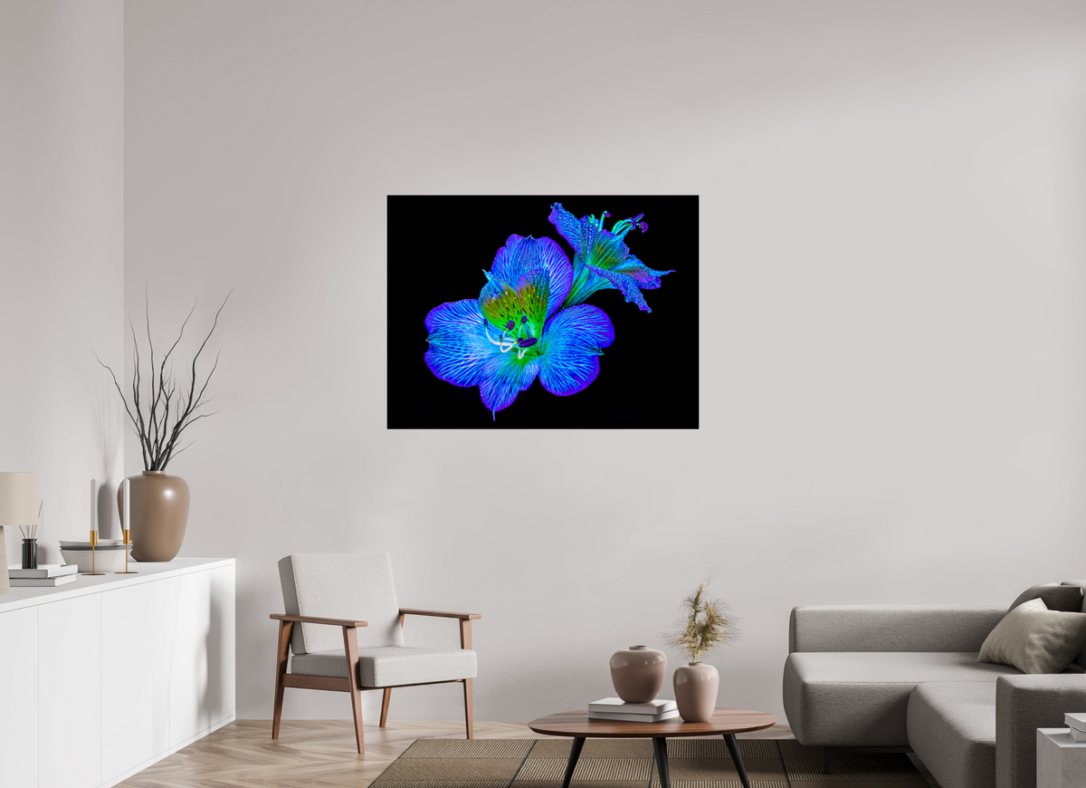 120 x 90 cm, Tirage simple sur papier photo Fuji Crystal Pearl Alstroemeria des Lueurs Cachées