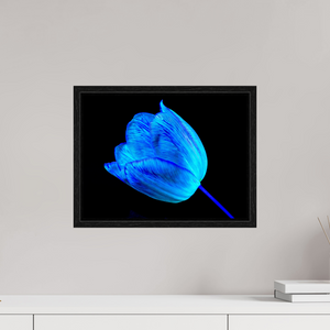 40 x 30 cm, Caisse américaine Noire À l’abri de ta lumière