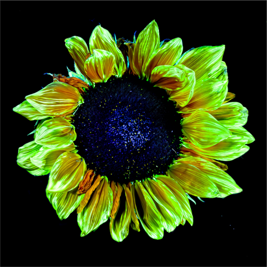 Main image Couronne de lumière