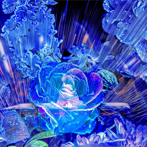 Main image Rose née d’un éclat céleste