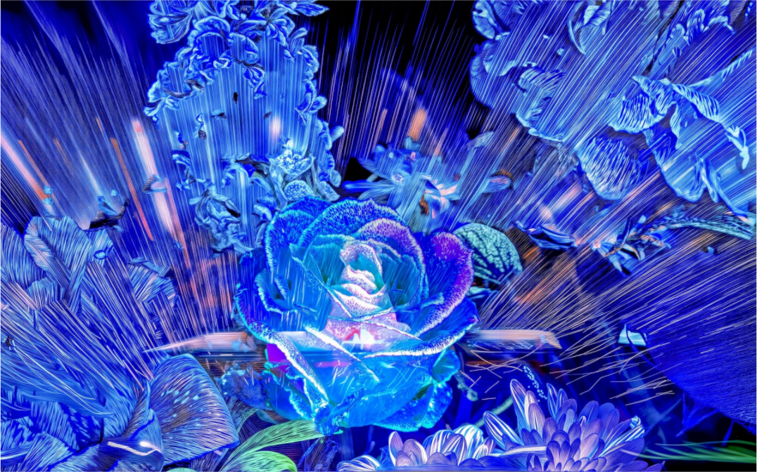 Main image Rose née d’un éclat céleste