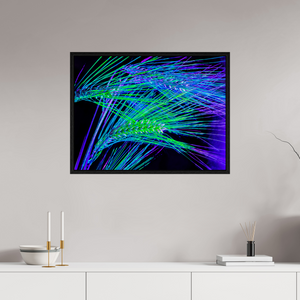 80 x 60 cm, Caisse américaine Noire Les Lignes où Court la Lumière