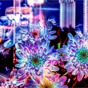 Main image Murmure floral suspendu entre deux éclairs