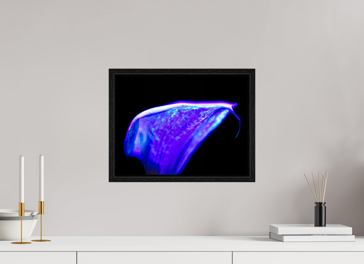 40 x 30 cm, Caisse américaine Noire Une vague pourpre au bord du silence