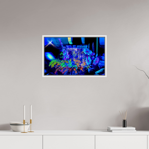 64 x 40 cm, 9 Caisse américaine Blanche Le bouquet où nos rêves s’illuminent