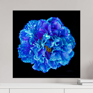 60 x 60 cm, Tirage simple sur papier photo Fuji Crystal Pearl Le Cœur Bleu qui S’ouvre à la Nuit