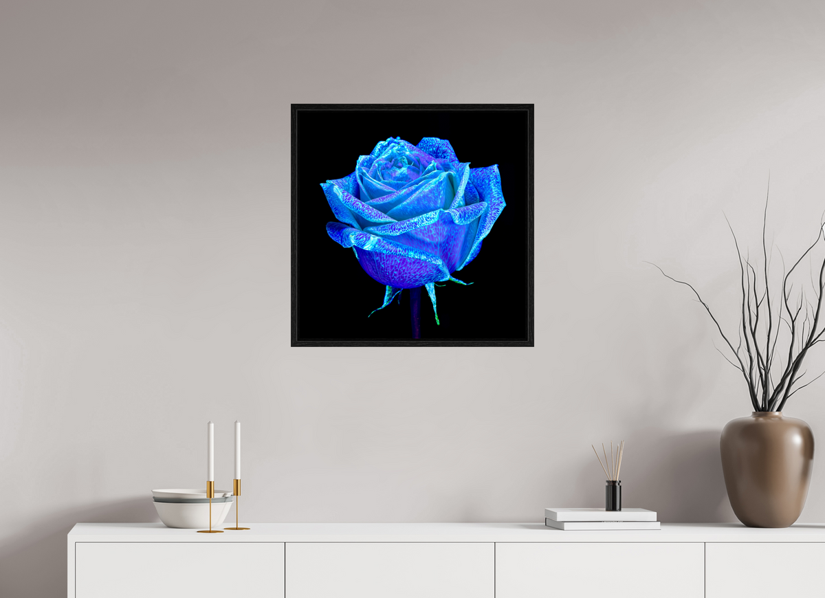 60 x 60 cm, Caisse américaine Noire La Rose qui Rêvait le Ciel