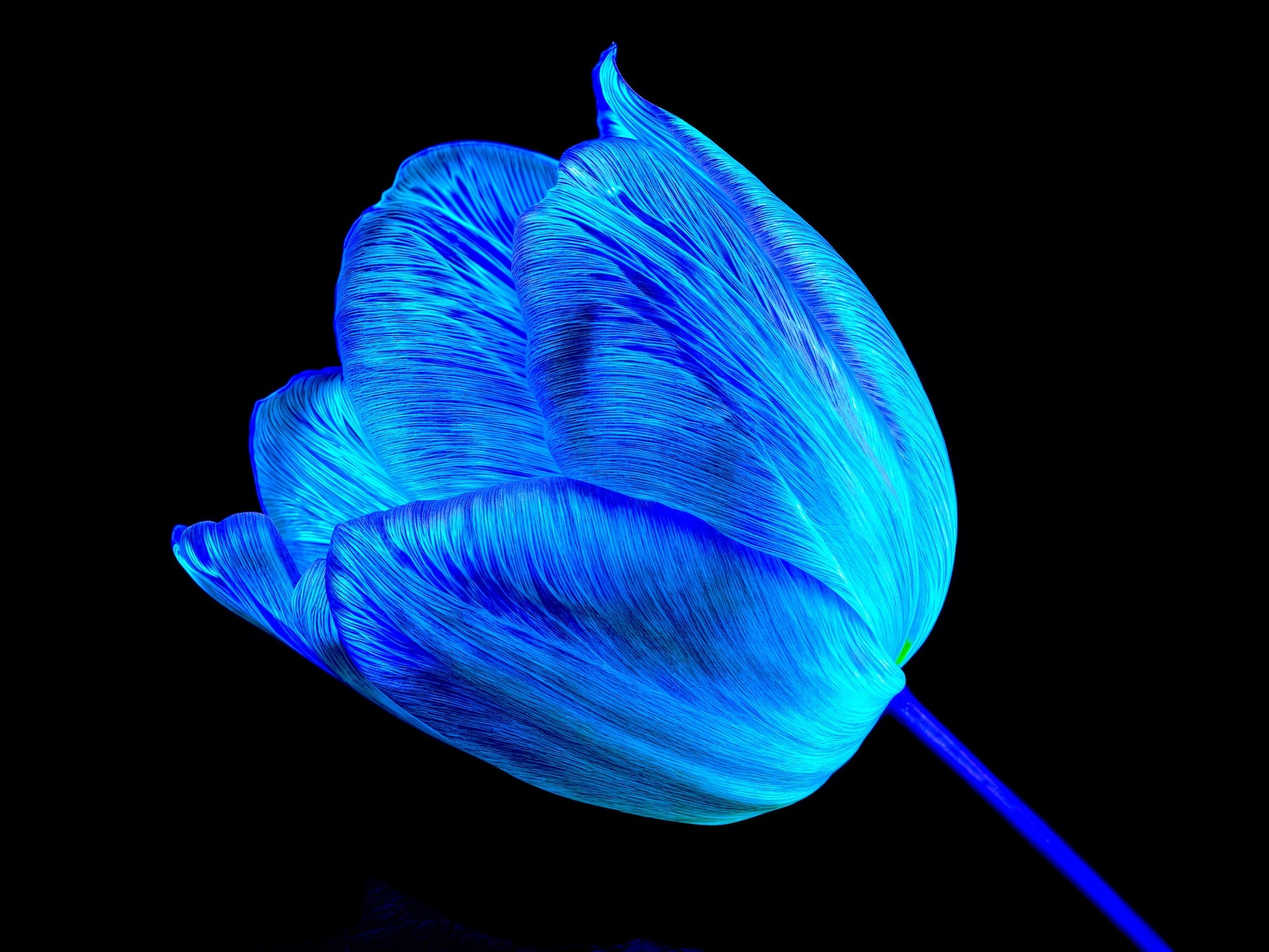 À l’abri de ta lumière