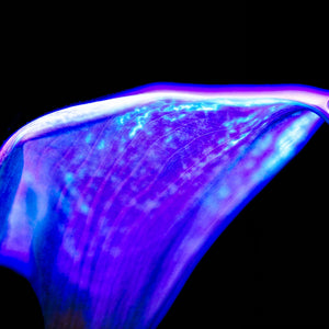 Main image Une vague pourpre au bord du silence