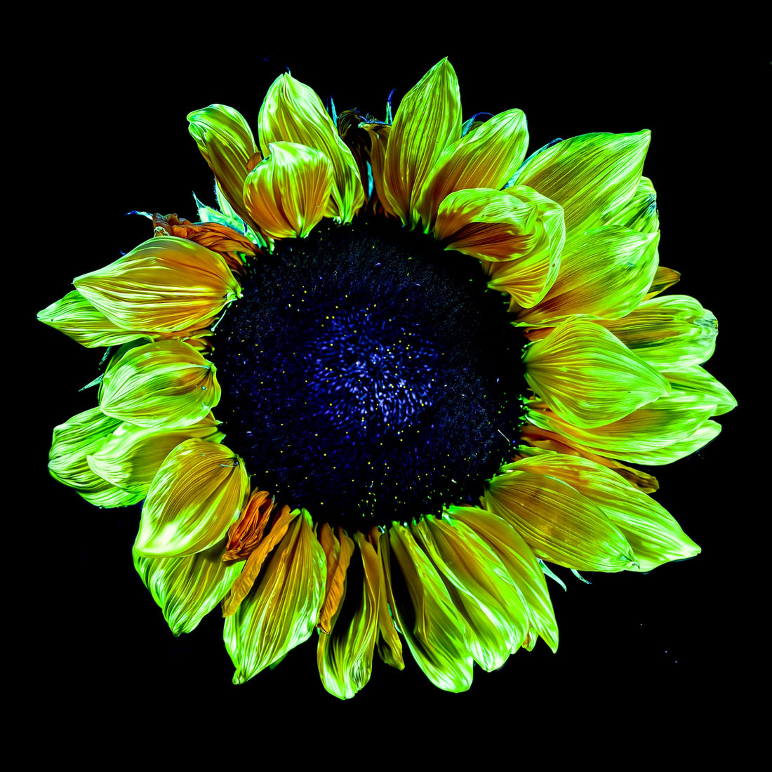 Main image Couronne de lumière