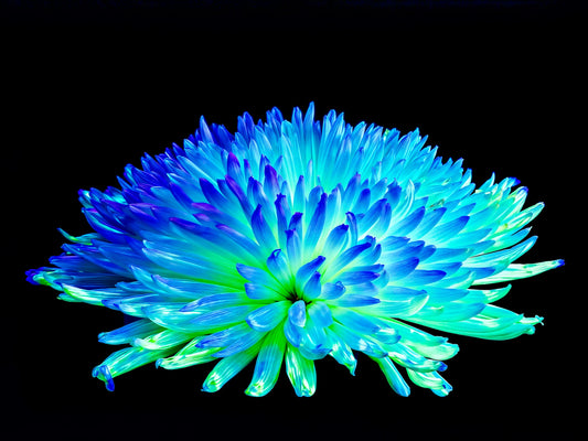 Éclat d’un Monde Inconnu