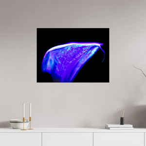 80 x 60 cm, Tirage simple sur papier photo Fuji Crystal Pearl Une vague pourpre au bord du silence
