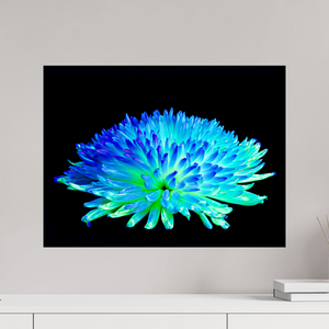60 x 45 cm, Tirage photo contrecollé sur Dibond Éclat d’un Monde Inconnu