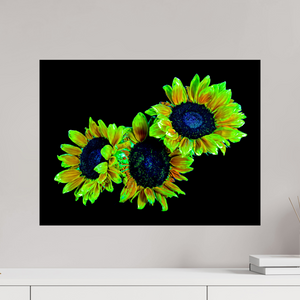 60 x 45 cm, Tirage photo contrecollé sur Dibond Les gardiens du jour endormi